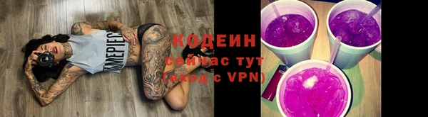 дурь Бородино