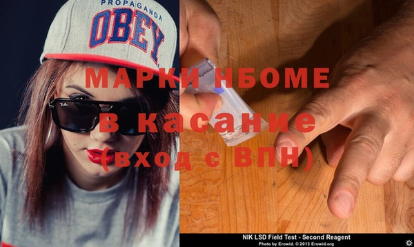 бошки Бронницы
