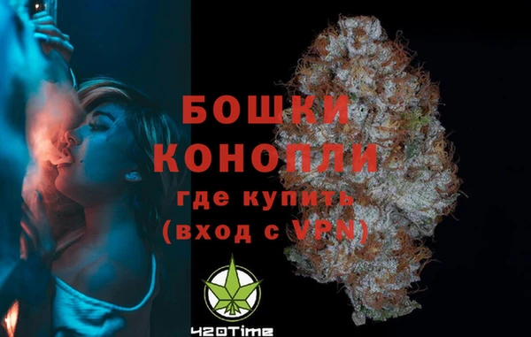 дурь Бородино