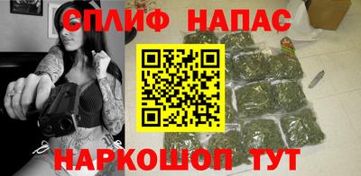хмурый Дубна