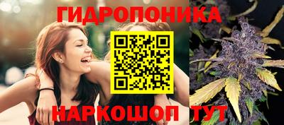 прущая мука Донецк