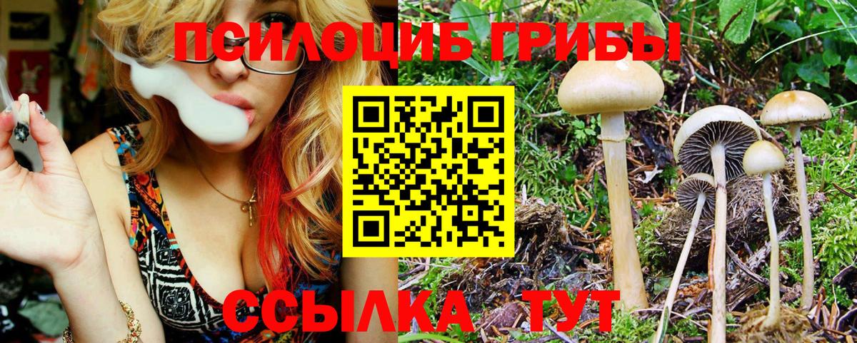 Галлюциногенные грибы прущие грибы  Псилоцибиновые грибы мухоморы  Вход с VPN  Бутурлиновка 