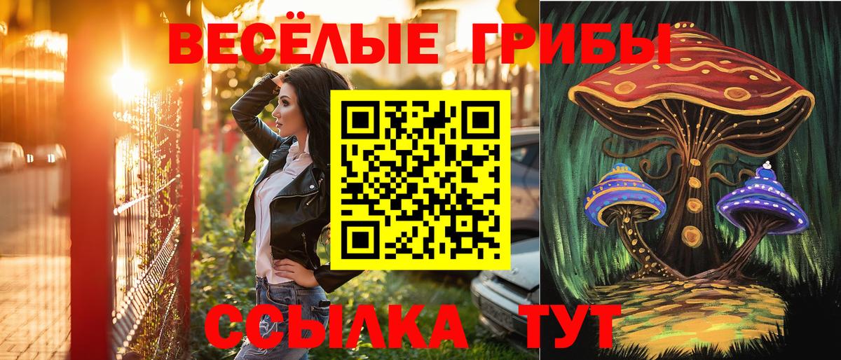Псилоцибиновые грибы прущие грибы Бутурлиновка